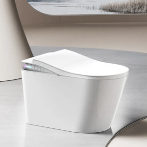 Smart Toilet V1
