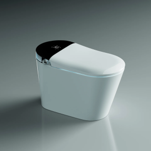 Smart Toilet V6